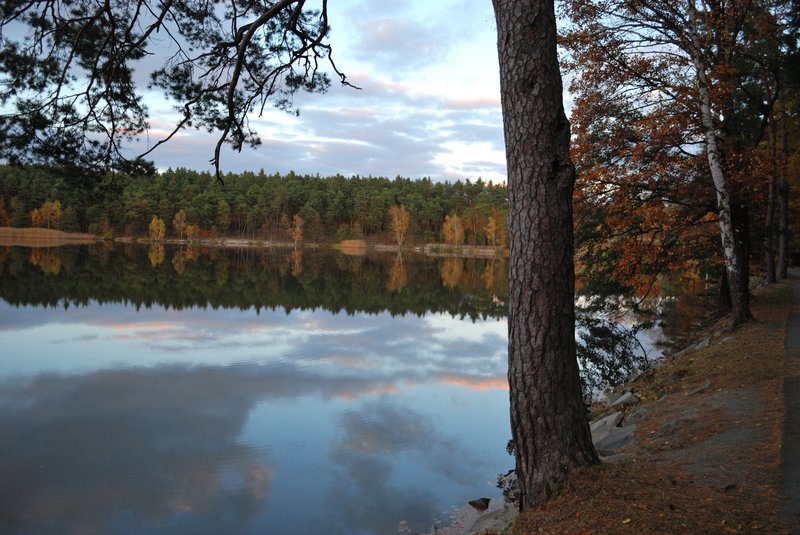 dsc_0131.jpg