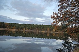 dsc_0139.jpg